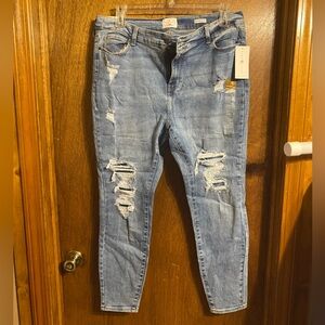 True Craft; High-Rise skinny. Size 18W